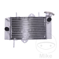 Refroidisseur deau pour Yamaha MT 125 2014-2020