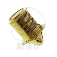 Thermostat for Aprilia 50 Derbi 50 Gilera 50 125 180...
