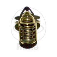 Thermostat for Aprilia Benelli Beta Italjet KTM Malaguti...
