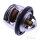 Termostato per Aprilia 125 Gilera 125 Piaggio 125 Vespa 125