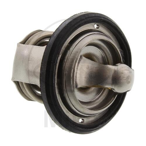 Termostato para Yamaha YFM 300 Grizzly 2WD 2012-2014