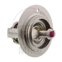 Thermostat f&uuml;r Yamaha YXM 700 E ES 2014-2015