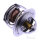Termostato per Yamaha DT 125 1991-2006 TDR 125 1993-2002