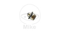 Thermostat f&uuml;r Suzuki AN 250 2003-2006 AN 400 2003-2017