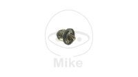 Thermostat f&uuml;r Suzuki GW 250 Inazuma 2013-2017