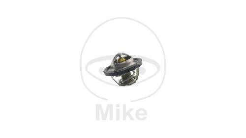 Thermostat for Suzuki DL 250 A GSX 250 RA 2017-2018