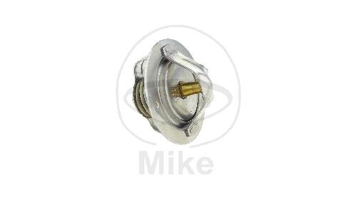 Termostato per Honda CB CBR 1000 CB CB-X4 1300 GL 1200 1500 ST 1100
