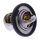 Termostato per Suzuki UH 200 A Burgman ABS 2019