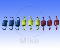Set di molle della frizione per Aeon Cobra 50 Benelli...