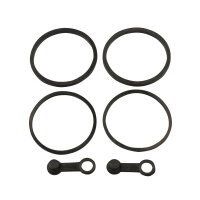 Reparatursatz Bremssattel BCR-202 f&uuml;r Yamaha BT FJ...