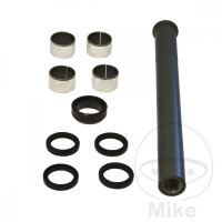 Kit di riparazione dei cuscinetti del forcellone per Gas...