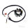 Lichtmaschine Anker Stator Generator JMP f&uuml;r KTM SMR 560 2006-2007 # SX-F 250 2006-2010