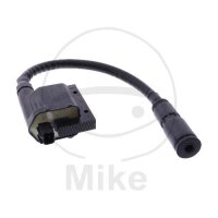 Bobina daccensione originale per Kymco Dink 200 DD i...