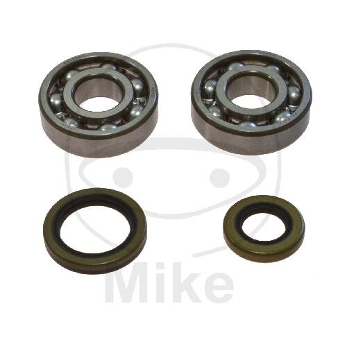 Bearing set crankshaft for Gas Gas EC 125 MC 125