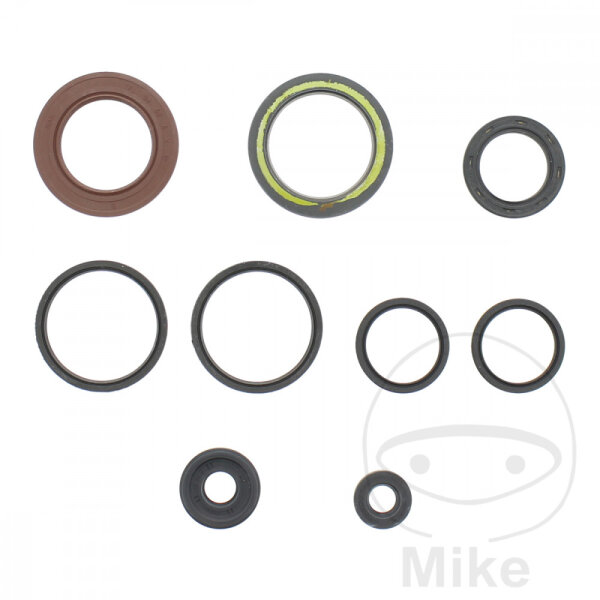 Juego de retenes ATH para Suzuki AN 250 Burgman # 1998-1999