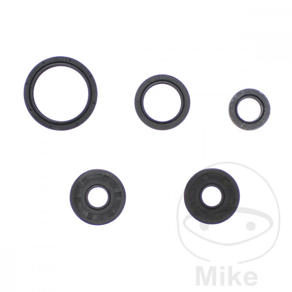 Set di paraoli ATH per BMW G 450 Husqvarna TC 449 TE 449 511 SMR 511