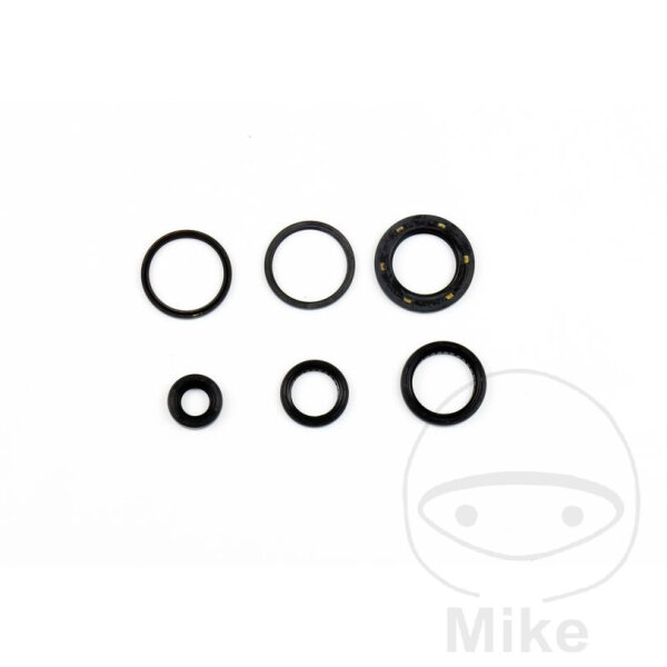 Set di paraoli ATH per Honda NSS 250 Forza # 2005-2013