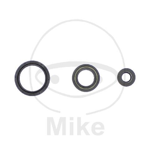 Set di paraoli ATH per Husqvarna TC 250 TE 250 310 # 2010-2013