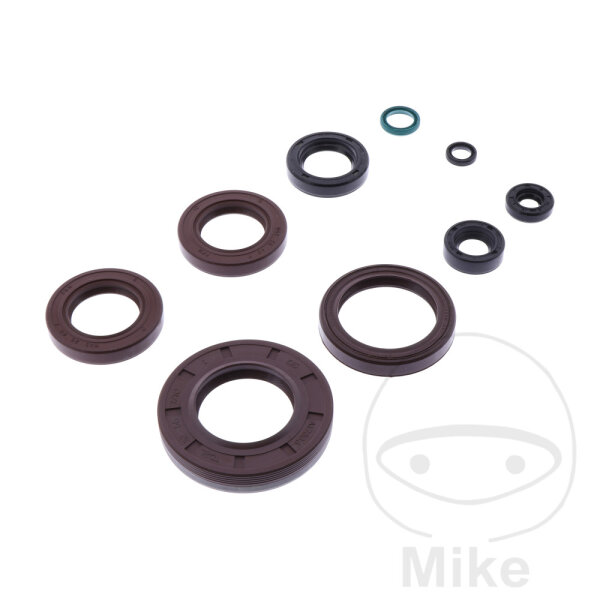 Set di paraoli ATH per Gilera Dakota 350 500 Nordwest XRT 600