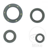 Jeu de joints darbre ATH pour Honda FES 250 Foresight...