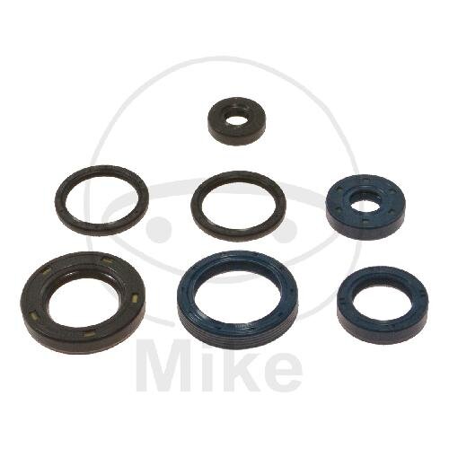 Set di paraoli ATH per KTM EXC 250 Sixdays # 2013
