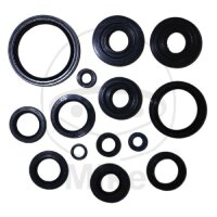 Juego de retenes ATH para Kawasaki KVF 650 750 Brute...