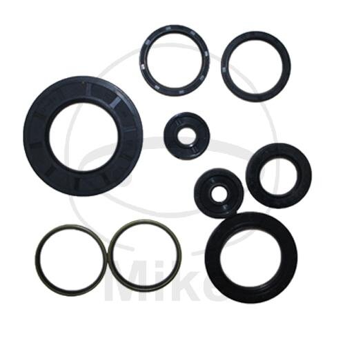 Set di paraoli ATH per Yamaha YP 400 Majesty # 2004-2013