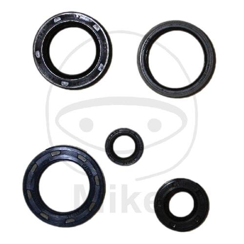 Set di paraoli ATH per Kymco KXR MXU 250