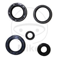 Set di paraoli ATH per Kymco KXR MXU 250
