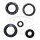 Set di paraoli ATH per Kymco KXR MXU 250