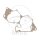 Joint de carter ATH pour Beta REV3 125 250 270