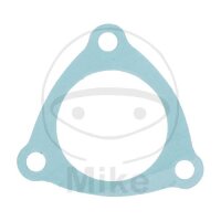 Guarnizione del collettore 38x60x1mm ATH per Sherco SE...