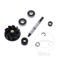 Water pump repair kit for Gilera Runner 125 180 Italjet...