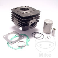 Cylinder kit standard cast iron for Honda SFX SGX SH SJ...