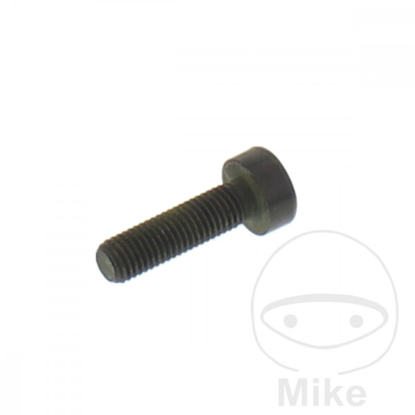 Schraube M7x1.0x25mm f&uuml;r BMW K 75 100 1100 1200 K1 1000 R 850 1100