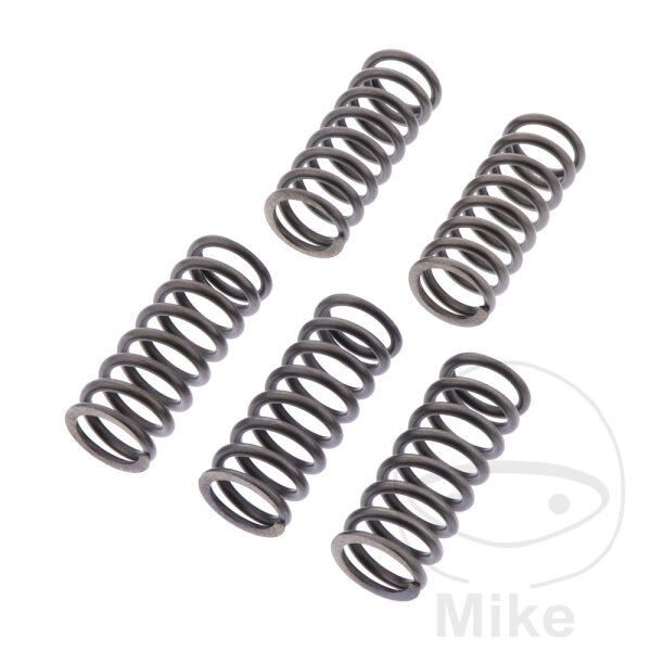 Clutch springs set reinforced for BMW G 310 GS /R ABS # 2016-2020