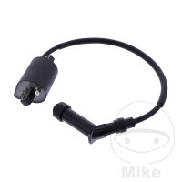 Bobina de encendido original para SYM GTS 250 /ie Joymax...