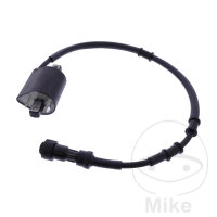 Bobina daccensione originale per SYM Cruisym 125 300...