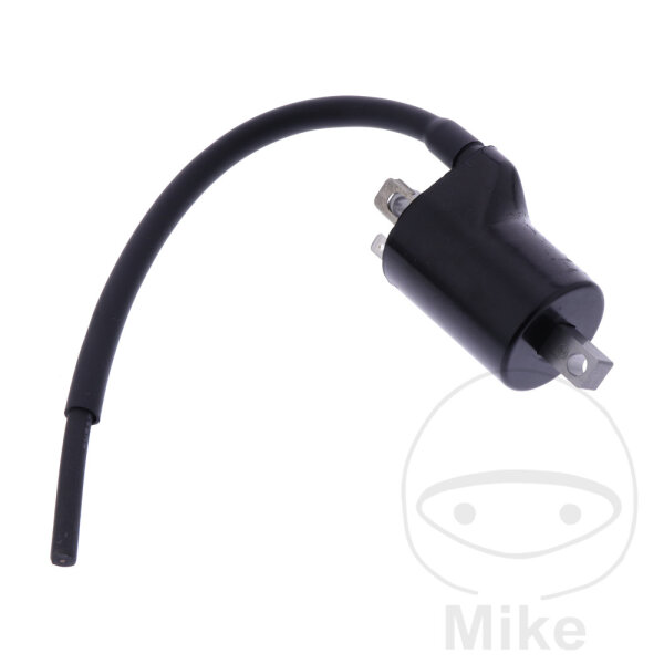 Ignition coil original for Beta Xtrainer 250 2T 17-22 # Xtrainer 300 2T 15-22