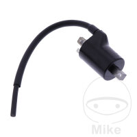 Bobina daccensione originale per Beta Xtrainer 250 2T...