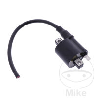 Bobina de encendido original para Beta Evo 80 125 200 250...