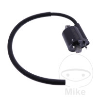 Bobina de encendido original para Beta RR 50 # 2016-2023...
