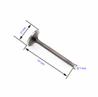 V&aacute;lvula de admisi&oacute;n para Yamaha TT 600 XT...