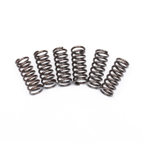 Juego de muelles de embrague HSP-316-6 para Kawasaki S1 250 # 73-75 # 92081-080