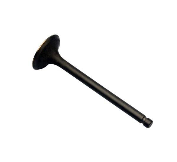 V&aacute;lvula de escape para Yamaha SR 250 XT 250 TT 250 3Y1-12121-01-00