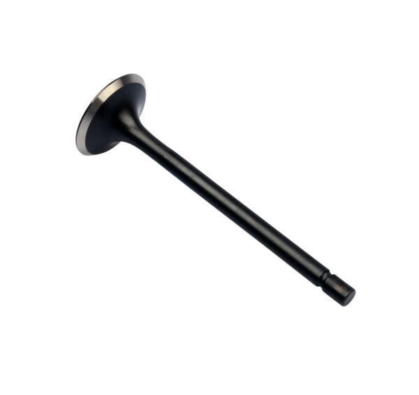 V&aacute;lvula de escape para Honda CB 750 F2 14721-410-010