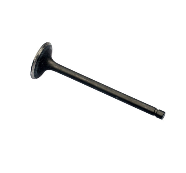 Exhaust Valve for Kawasaki Z 250 A 305 12005-1003