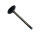 Intake Valve for Kawasaki KL KLX Z 250 12004-1123 12004-1006