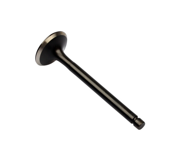 Exhaust Valve for Kawasaki Z 1300 DFI 12005-1063