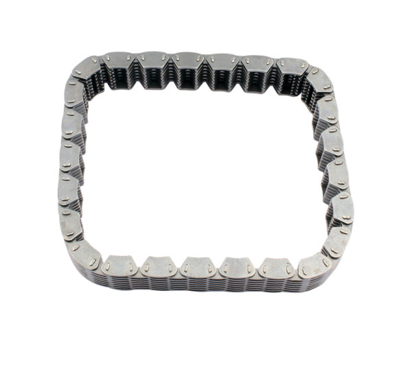Primary Chain for Yamaha FJ FZ 600 XJ 550 YX 600 4GO-16139-00